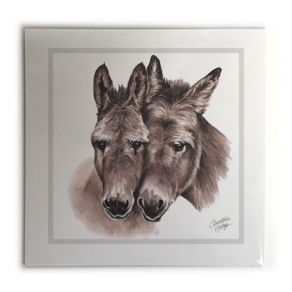 Donkeys  Picture / Print