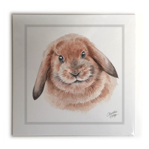 Rabbit  Picture / Print