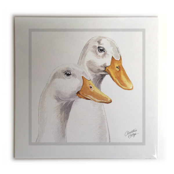 Ducks  Picture / Print