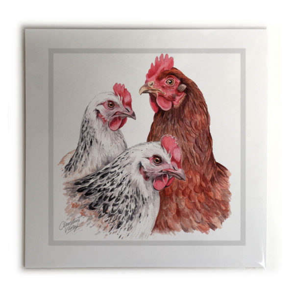 Hens  Picture / Print