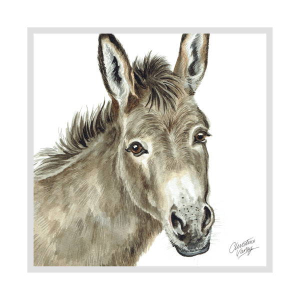 Donkey Donkey Picture / Print
