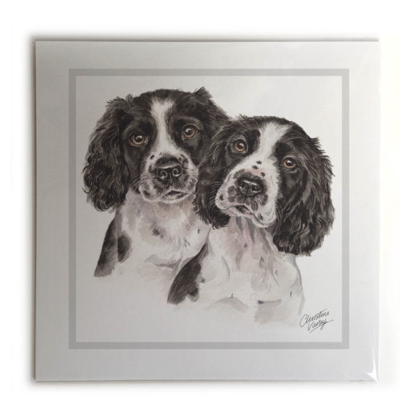 Springer Spaniel Puppies Dog Picture / Print