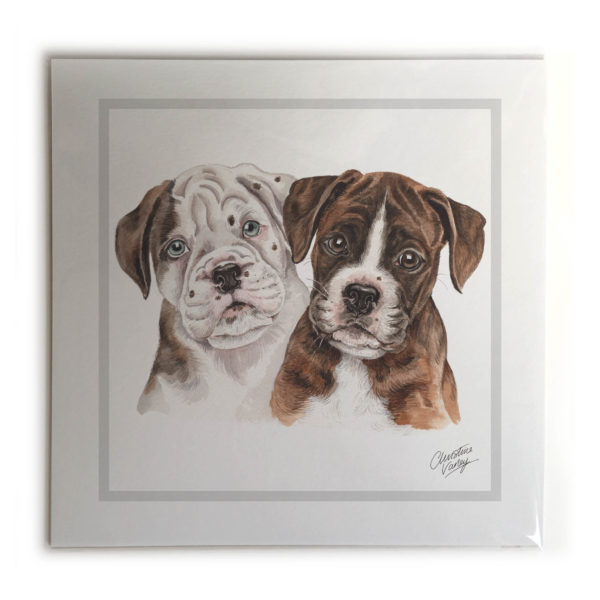 Boxer Puppies Dog Picture / Print