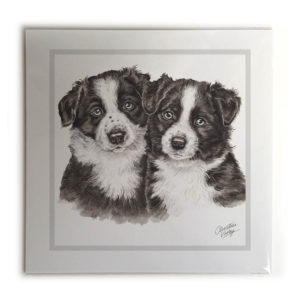 Border Collie Puppies Dog Picture / Print