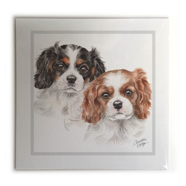 Cavalier King Charles Spaniel Puppies Dog Picture / Print