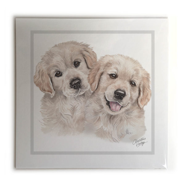 Golden Retriever Puppies Dog Picture / Print