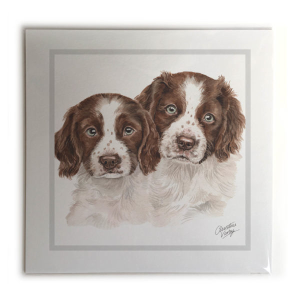 Springer Spaniel Puppies Dog Picture / Print