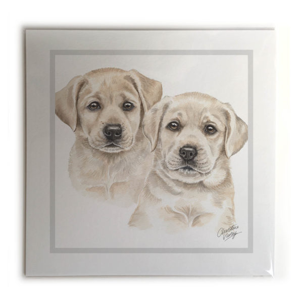 Yellow Labrador Puppies Dog Picture / Print