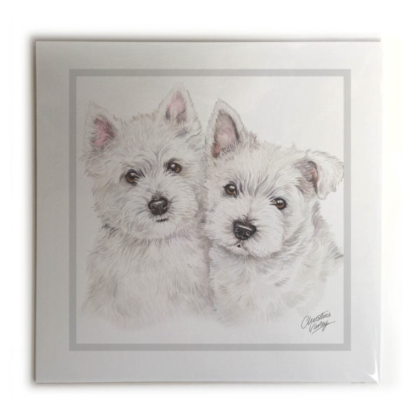 West Highland White Terrier Puppies Dog Picture / Print