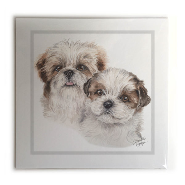 Shih Tzu Puppies Dog Picture / Print