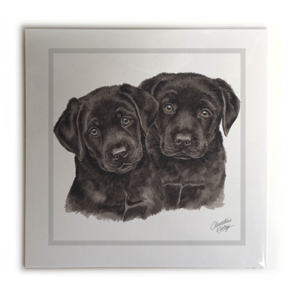 Black Labrador Puppies Dog Picture / Print