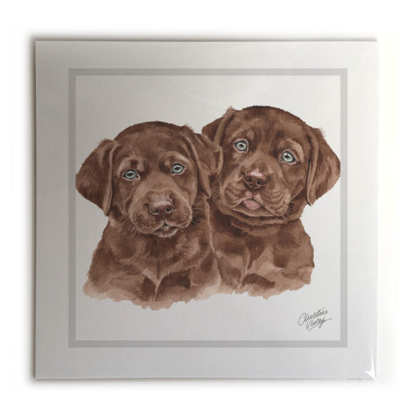 Chocolate Labrador Puppies Dog Picture / Print