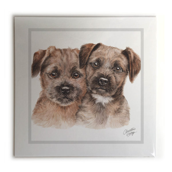 Border Terrier Puppies Dog Picture / Print
