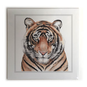 Tiger Animal Picture / Print