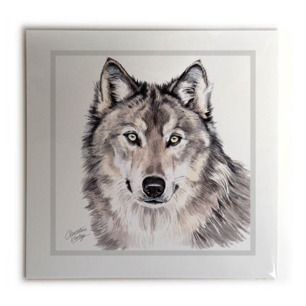 Wolf Animal Picture / Print