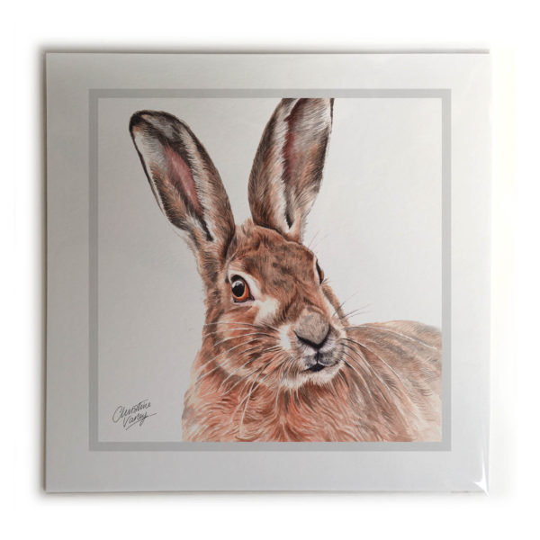 Hare Animal Picture / Print