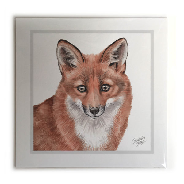 Fox Animal Picture / Print