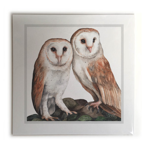 Barn Owl Pair Bird Picture / Print