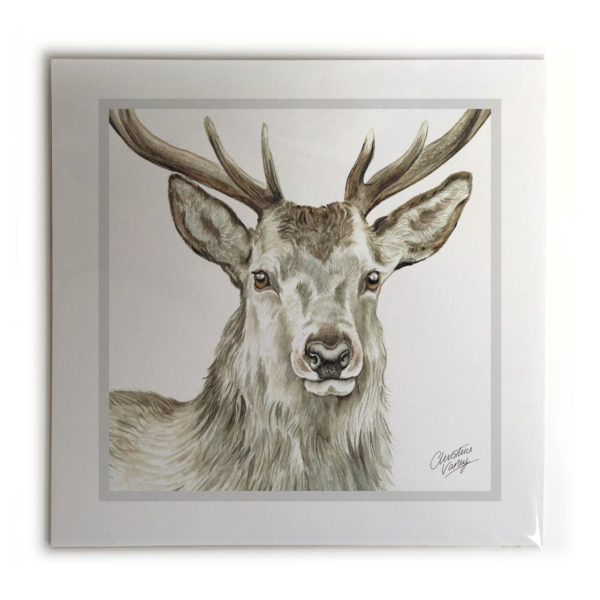 Stag Animal Picture / Print